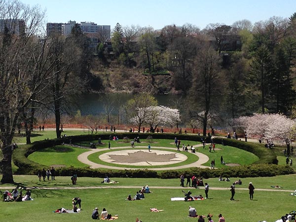 HIgh Park in Toronto