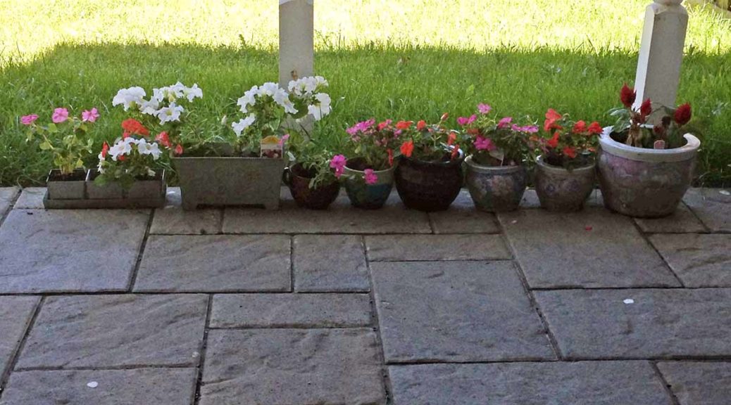 Flowerpot Header
