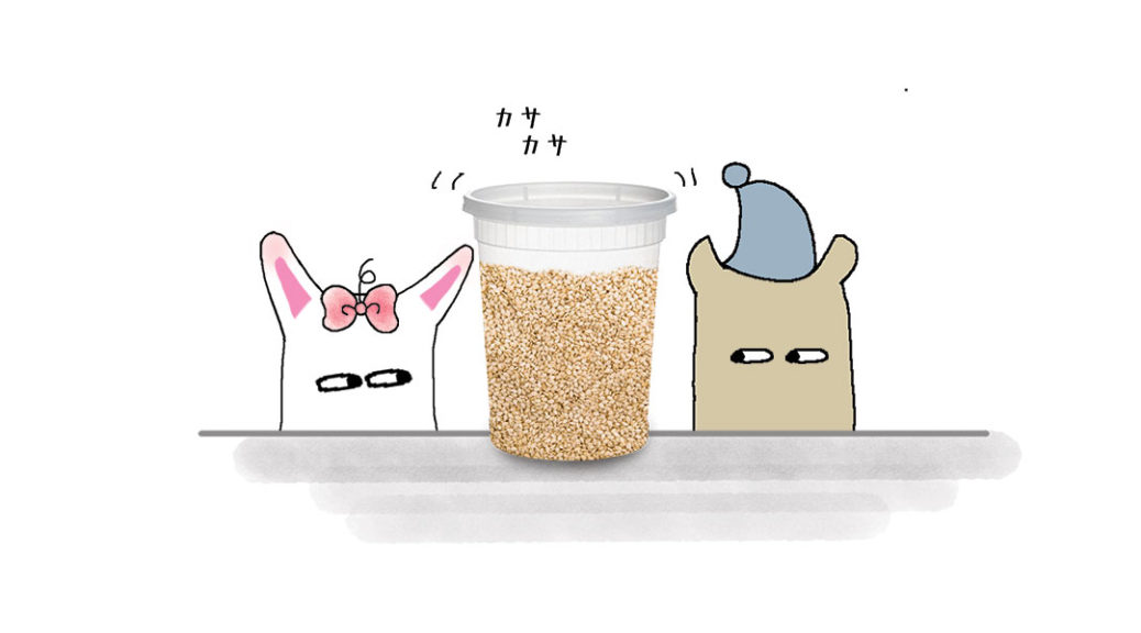 Sesame Seeds Header