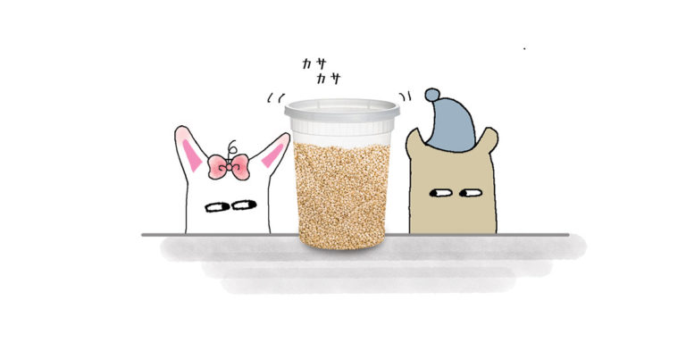 Sesame Seeds Header