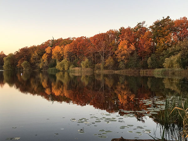 Header Heart Lake