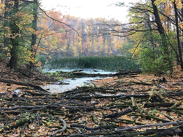 Heart Lake