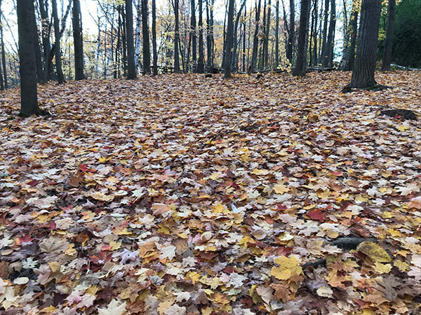 Heart Lake