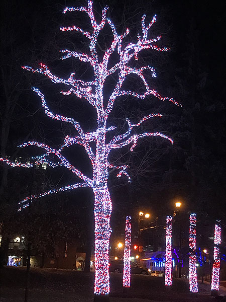 Lighted Tree