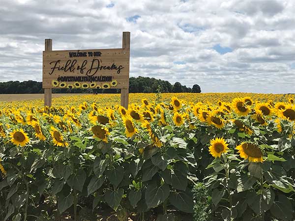 Sunflower Field Sign