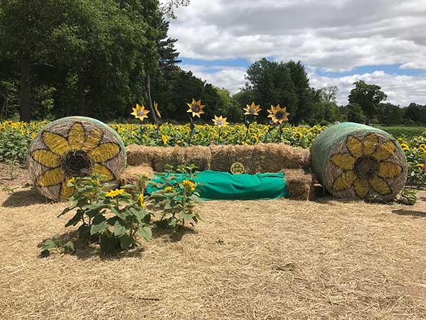 Sunflower Chair