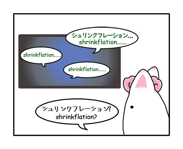 Shrinkflation