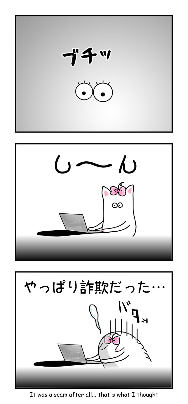ブチッ
し～ん
やっぱり詐欺だった…