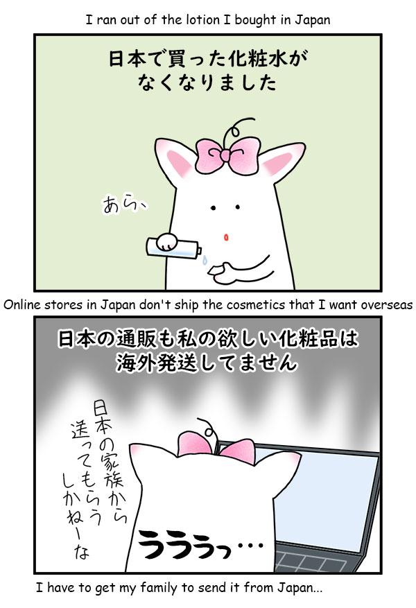 Japanese Skincare 日本で買った化粧水がなくなりました 日本の通販も私の欲しい化粧品は海外発送してません 日本の家族から送ってもらうか