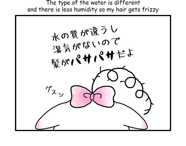 水の質が違うし湿気がないので髪がパサパサになるの