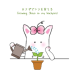Shiso Plant